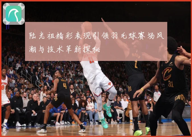 陆光祖精彩表现引领羽毛球赛场风潮与技术革新探秘