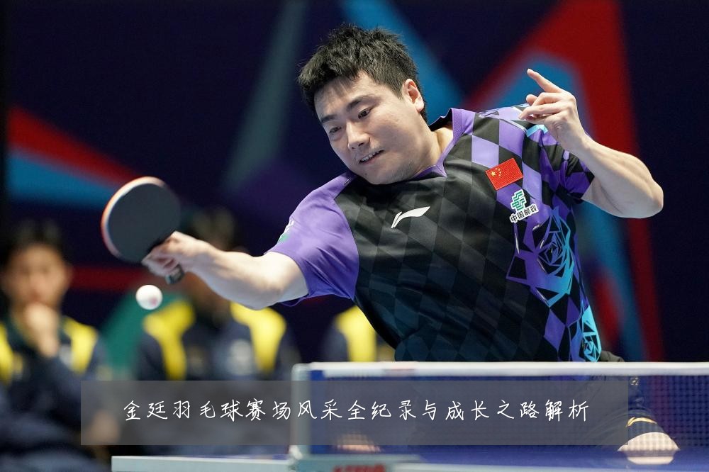 金廷羽毛球赛场风采全纪录与成长之路解析